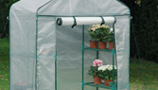 Greenhouses (7)